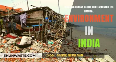Human Settlements in India: Transforming Landscapes, Impacting Ecosystems