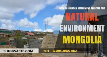 Human Settlement's Impact on Mongolia's Fragile Natural Environment