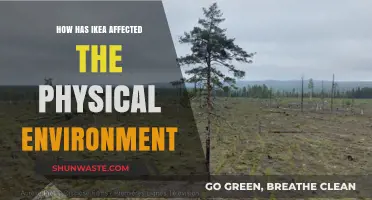 IKEA's Environmental Impact: Shaping Landscapes and Ecosystems Globally