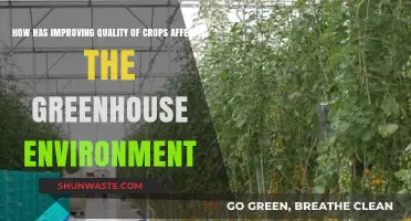 Enhanced Crop Quality: Transforming Greenhouse Ecosystems and Sustainability