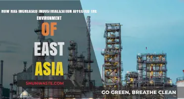 Industrialization's Impact: East Asia's Environment Amid Rapid Economic Growth