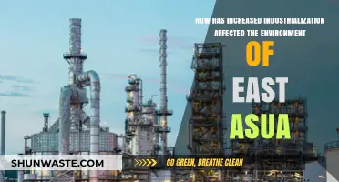 Industrialization's Impact: East Asia's Environment Amid Rapid Economic Growth