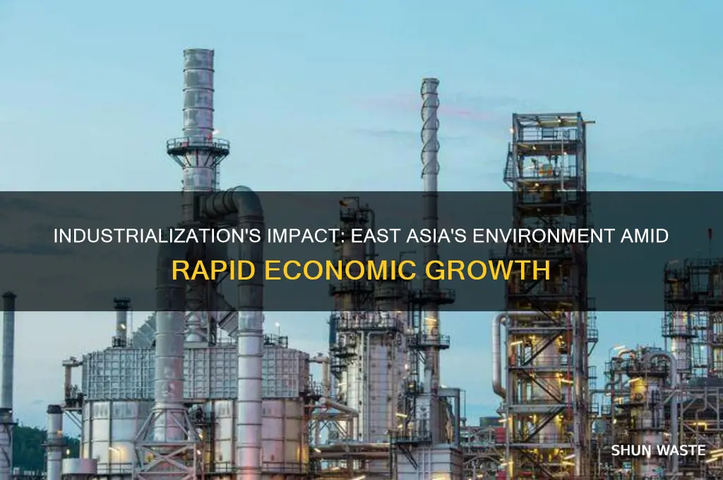 how has increased industrialization affected the environment of east asua