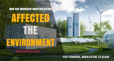 Industrialization's Environmental Impact: Challenges and Consequences for Our Planet
