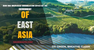 Urbanization's Impact: East Asia's Environment Amid Rapid City Growth