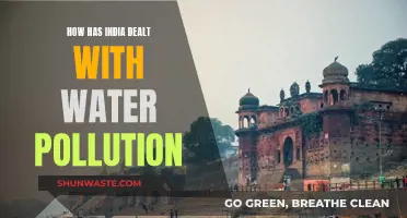 India's Water Crisis: Strategies and Challenges in Pollution Control