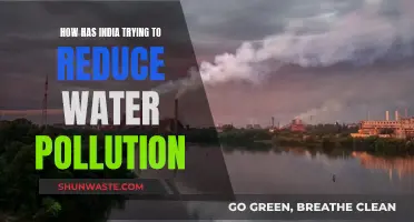 India's Water Pollution: Strategies and Initiatives for Cleaner Waterways