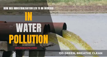 Industrialization's Impact: Unveiling Water Pollution's Hidden Costs