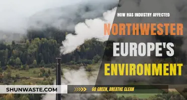 Industrial Impact: Northwestern Europe's Environmental Transformation and Challenges