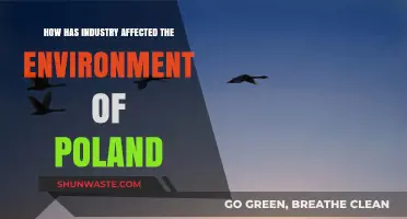 Poland's Environmental Transformation: The Impact of Industrial Growth and Challenges