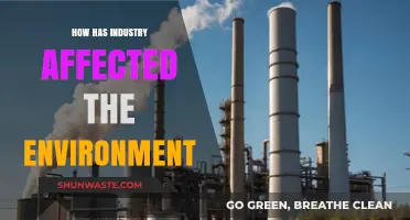 Industrial Impact: How Factories and Manufacturing Shape Our Environment