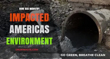 Industrial Growth's Environmental Toll: Shaping America's Landscape and Future