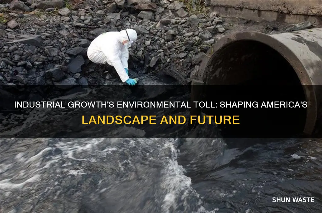 how has industry impacted americas environment