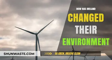 Ireland's Green Evolution: Transforming Landscapes and Embracing Sustainability