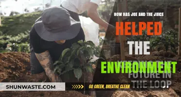 Joe & The Juice's Eco-Friendly Initiatives: A Sustainable Impact