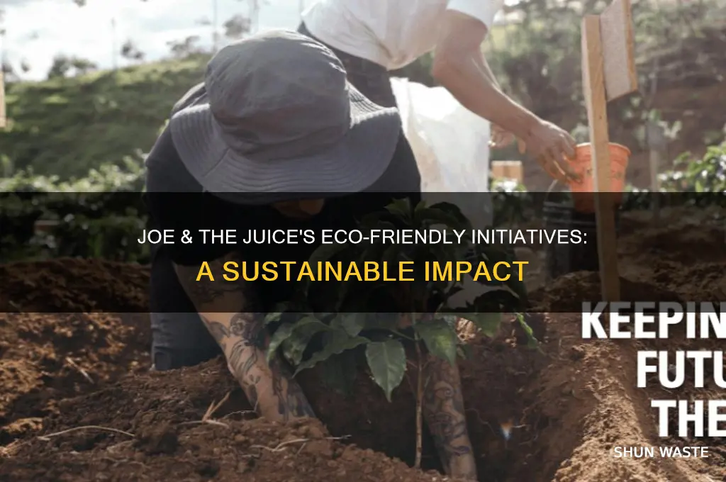 how has joe and the juice helped the environment