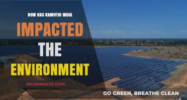 Kamuthi's Solar Power Plant: Environmental Impact and Sustainability in India