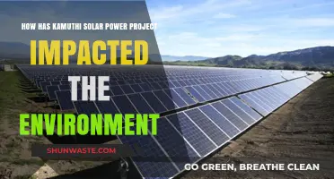 Kamuthi Solar Power Project: Environmental Impact and Sustainability Analysis
