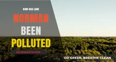 Lake Norman's Pollution: A Troubling Tale