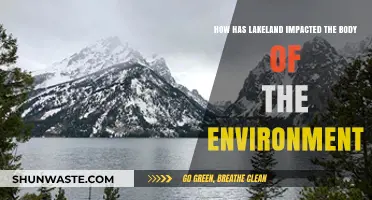 Lakeland's Environmental Impact: Shaping Ecosystems and Landscapes Over Time