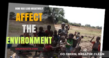 Lead's Toxic Legacy: Environmental Impacts and Long-Term Consequences