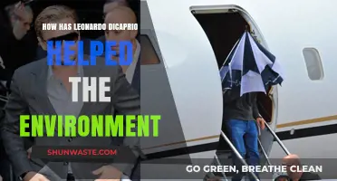 Leonardo DiCaprio's Environmental Impact: Conservation Efforts and Global Advocacy