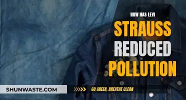 Levi Strauss's Pollution Reduction Strategies: A Sustainable Future