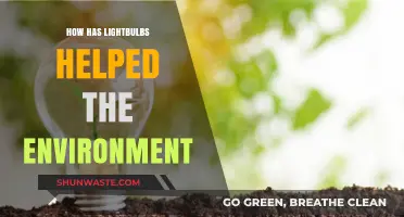Eco-Friendly Illumination: How Modern Lightbulbs Benefit Our Environment