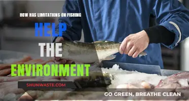 Sustainable Fishing Limits: Boosting Marine Ecosystems and Environmental Health