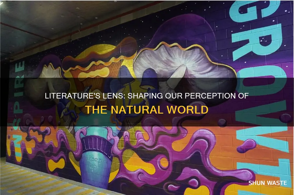 how has literature affected how we view the environment