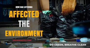 Littering's Devastating Impact: How Trash Destroys Our Environment and Wildlife