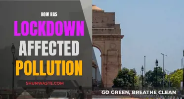 Lockdown's Impact: Pollution's Unexpected Twist