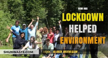 Lockdown's Silver Lining: Unveiling Nature's Revival and Environmental Benefits