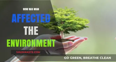 Human Impact: How Our Actions Shape the Environment's Future