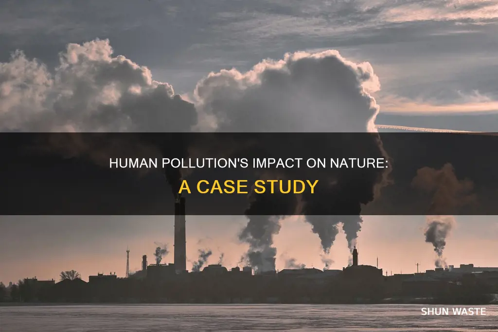 how has man made pollution affected a real ecosystem