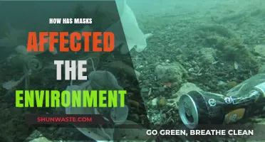 Masks' Environmental Impact: Pollution, Waste, and Sustainable Solutions Explored