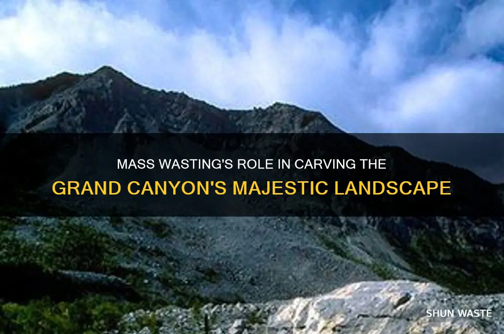 how has mass wasting helped to shape the grand canyon