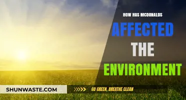 McDonald's Environmental Impact: A Critical Look at Its Ecological Footprint