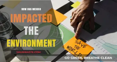 Mexico's Environmental Footprint: Challenges, Conservation, and Global Impact