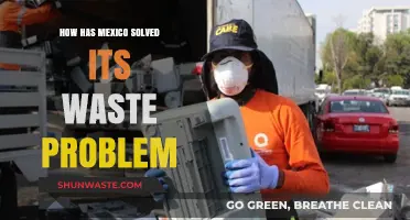 Mexico's Innovative Waste Management: A Sustainable Solution for a Greener Future