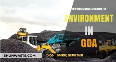 Mining's Environmental Impact: Goa's Ecosystem, Challenges, and Sustainability Efforts