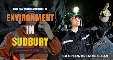 Sudbury's Environmental Transformation: Mining's Impact on Land, Air, and Water