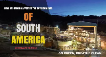Mining's Impact: South America's Environment and Ecosystems at Risk