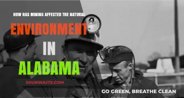 Alabama's Mining Impact: Environmental Consequences and Ecosystem Changes Explored