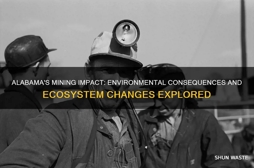 how has mining affected the natural environment in alabama