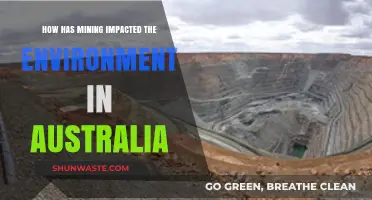 Mining's Environmental Toll: Australia's Landscape, Water, and Wildlife at Risk