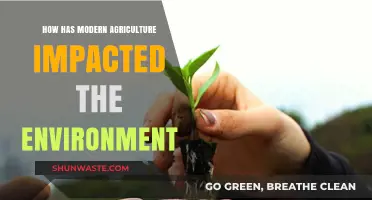 Modern Agriculture's Environmental Impact: Challenges and Sustainable Solutions
