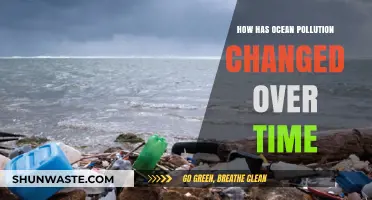 The Evolution of Ocean Pollution: A Historical Perspective