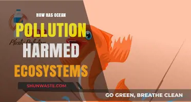 Ocean Pollution: Devastating Effects on Marine Ecosystems