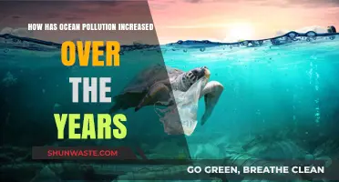 The Ocean's Plight: Pollution's Rising Tide